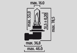 Halogen Headlight Bulbs